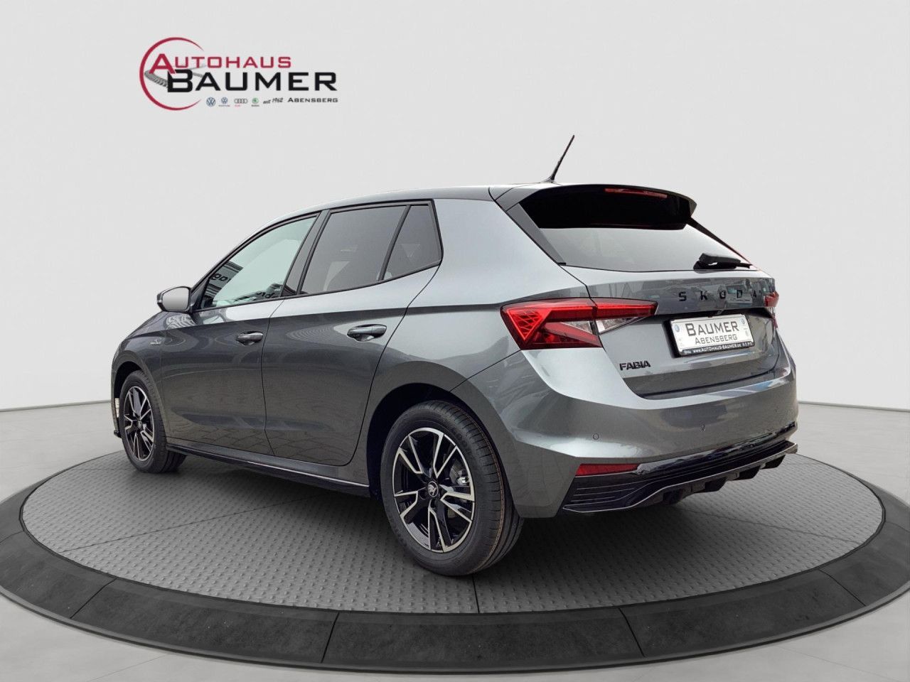 Fahrzeugabbildung SKODA Fabia 1.0 TSI DSG Monte Carlo Color Concept LED