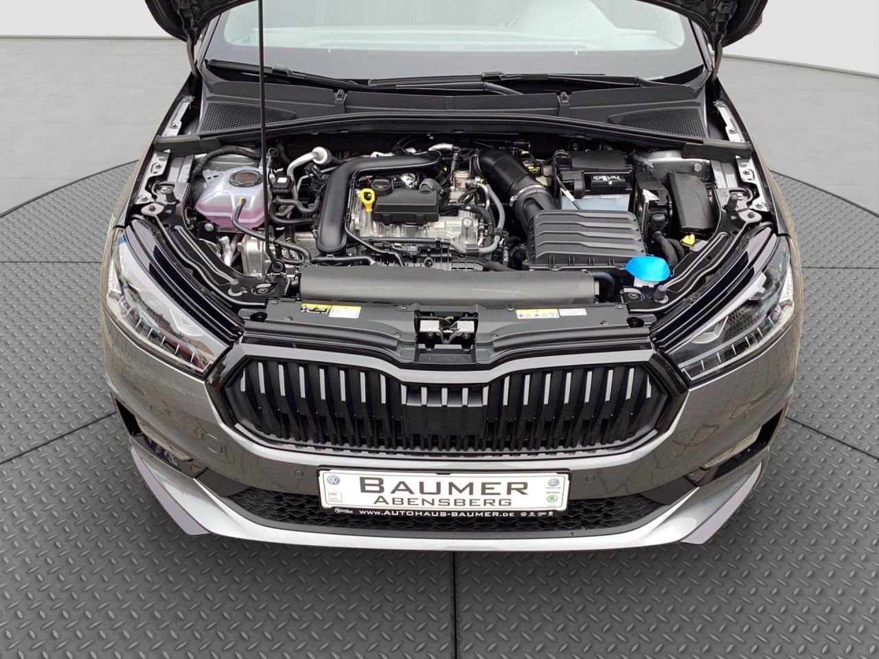 Fahrzeugabbildung SKODA Fabia 1.0 TSI DSG Monte Carlo Color Concept LED