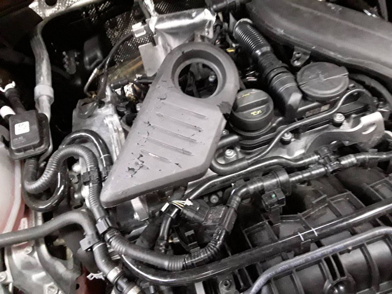 Fahrzeugabbildung Volkswagen Tiguan Goal 1.5 eTSI DSG AHK IQ.Light Navi LED