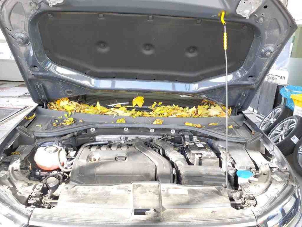 Fahrzeugabbildung Volkswagen T-Roc Cabriolet R-Line 1.5 TSI DSG Navi LED