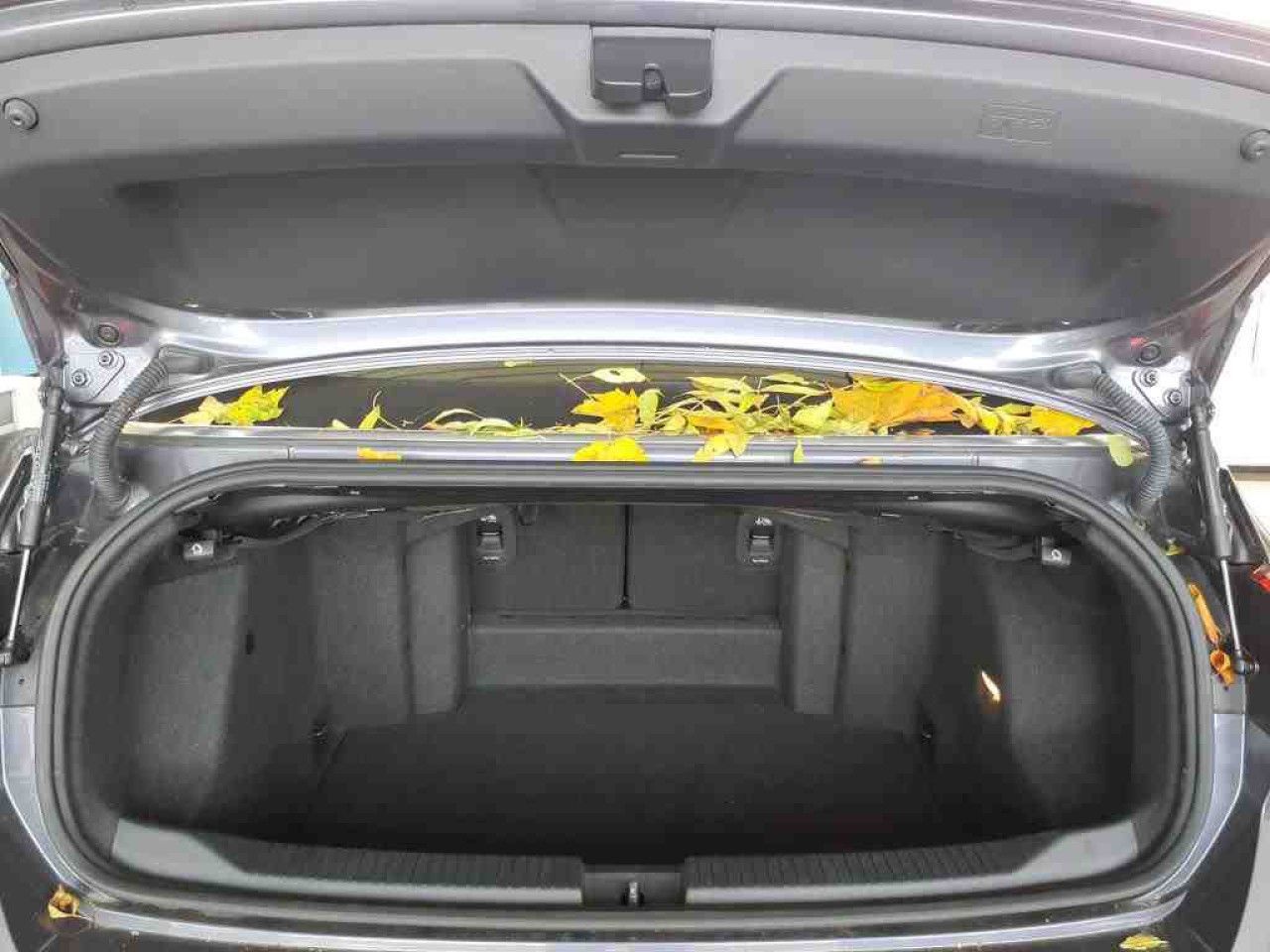 Fahrzeugabbildung Volkswagen T-Roc Cabriolet R-Line 1.5 TSI DSG Navi LED