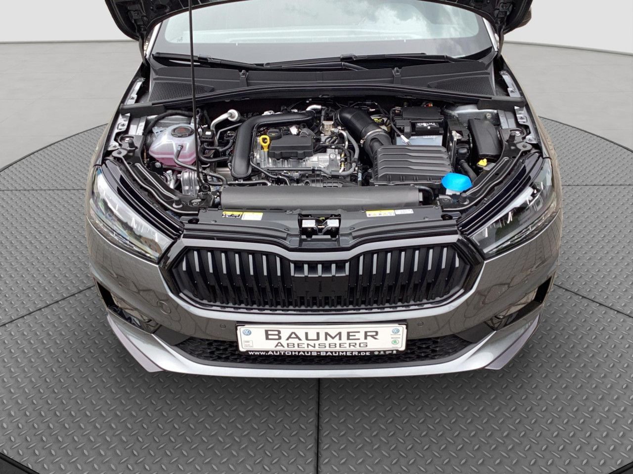 Fahrzeugabbildung SKODA Fabia Monte Carlo 1.0 TSI DSG LED Kamera SHZ PDC