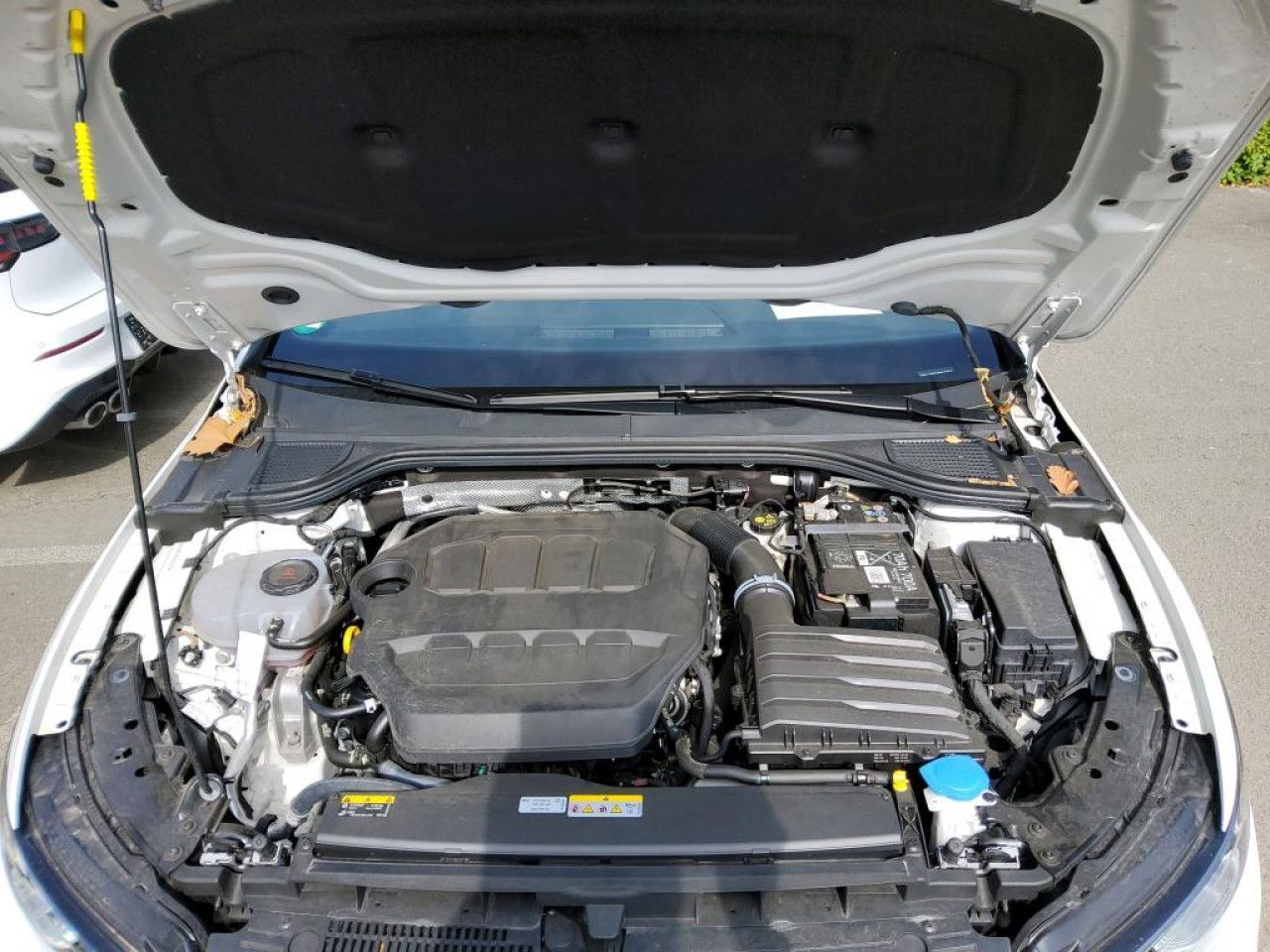 Fahrzeugabbildung Volkswagen Golf VIII GTI 2.0 TSI DSG IQ.Light Navi Kamera
