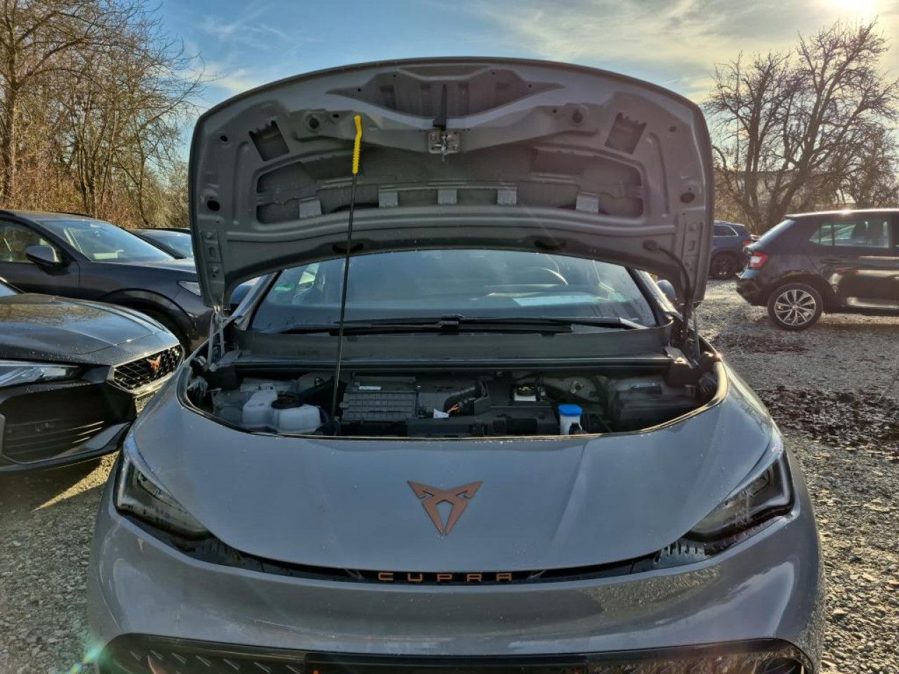 Fahrzeugabbildung CUPRA Born e-Boost electric 62 kWh Navi LED Kamera