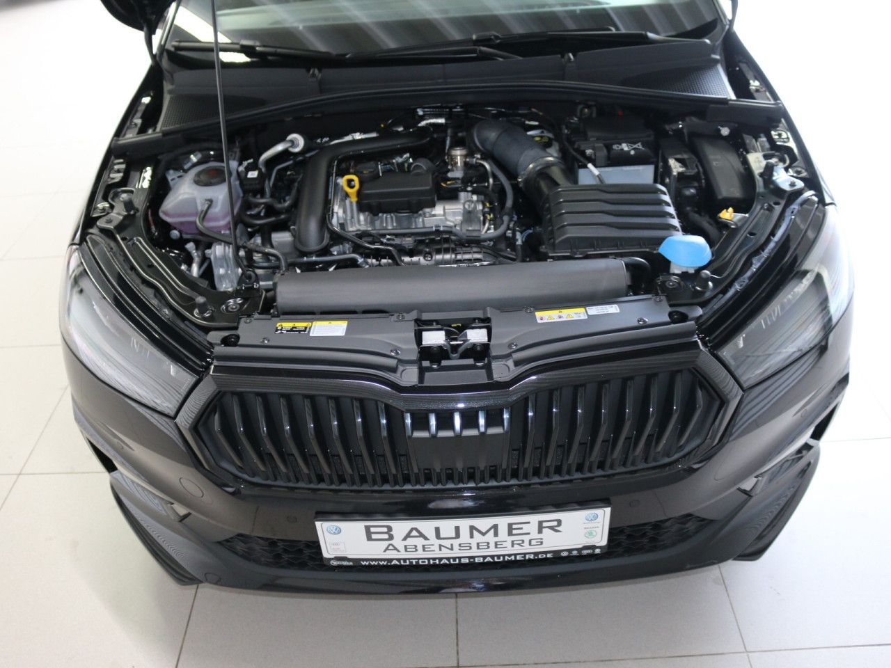 Fahrzeugabbildung SKODA Fabia Monte Carlo 1.0 TSI DSG LED Kamera Klima